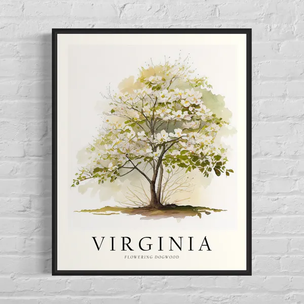 Virginia Flowering Dogwood State Tree Art Print