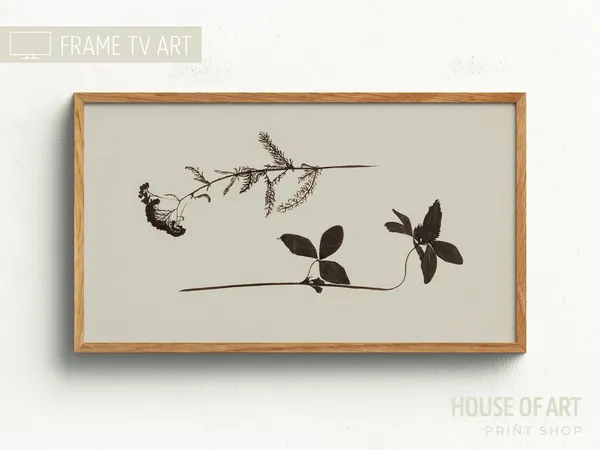 Vintage Two Flowers Botanical Art Print, Ink