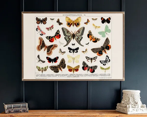 Butterflies Wall Art Print, Living Room Decor