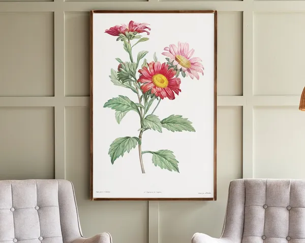 Pink Daisy Botanical Art Print, Living Room Decor