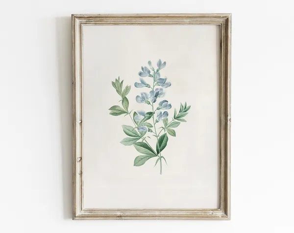 Vintage Sweet Pea Botanical Art Print, Cottage Core