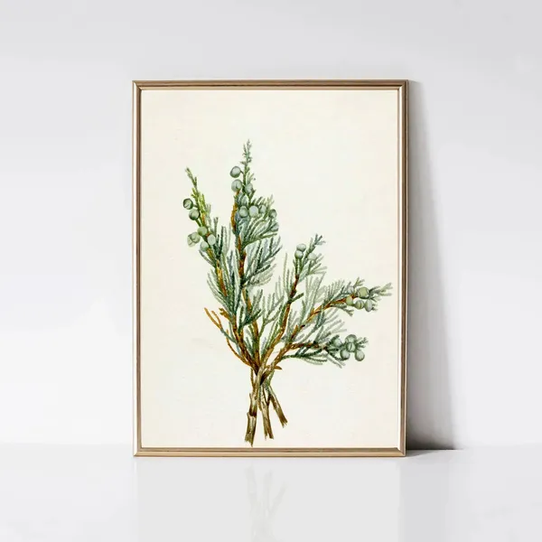 Juniper Branch Vintage Christmas Tree Art Print