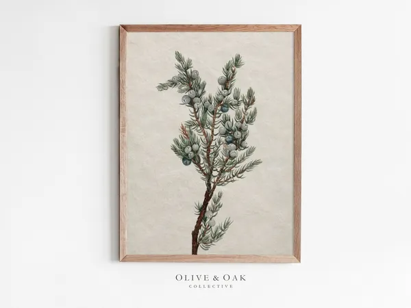 Vintage Botanical Winter Tree Branch Drawing Art Print