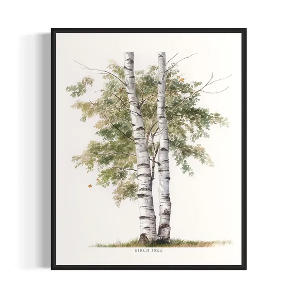 Birch Tree Art Print, Nature Wall Poster