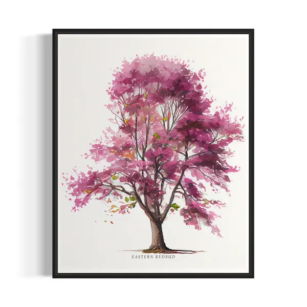 Eastern Redbud Tree Art Print, Botanical Wall Decor
