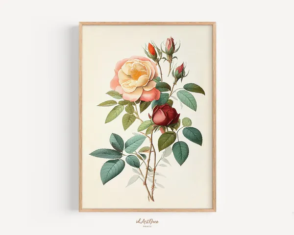 Vintage Rose Print, Minimalist Botanical Art Print