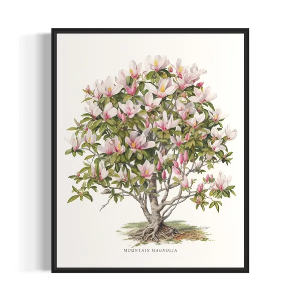 Mountain Magnolia Tree Art Print, Botanical Wall Art