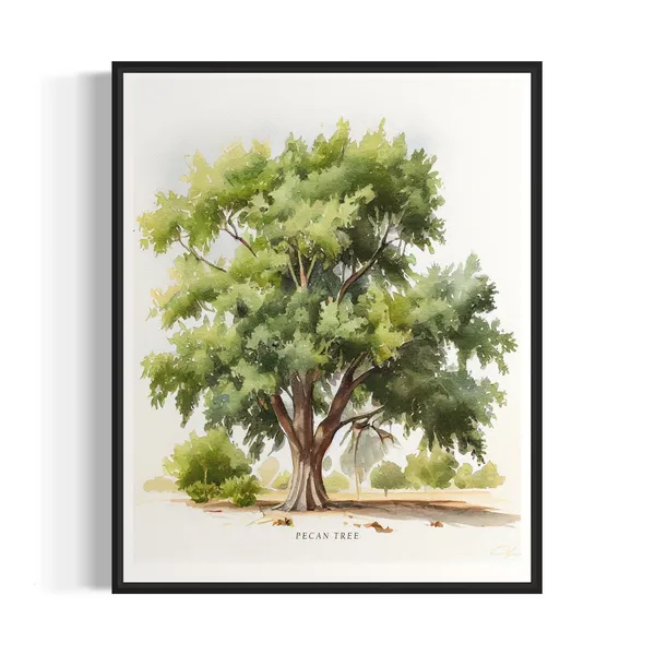 Pecan Tree Nature Art Print, Landscape Poster