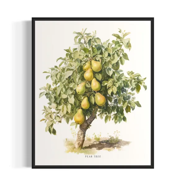 Pear Tree Art Print, Nature-Inspired Wall Art