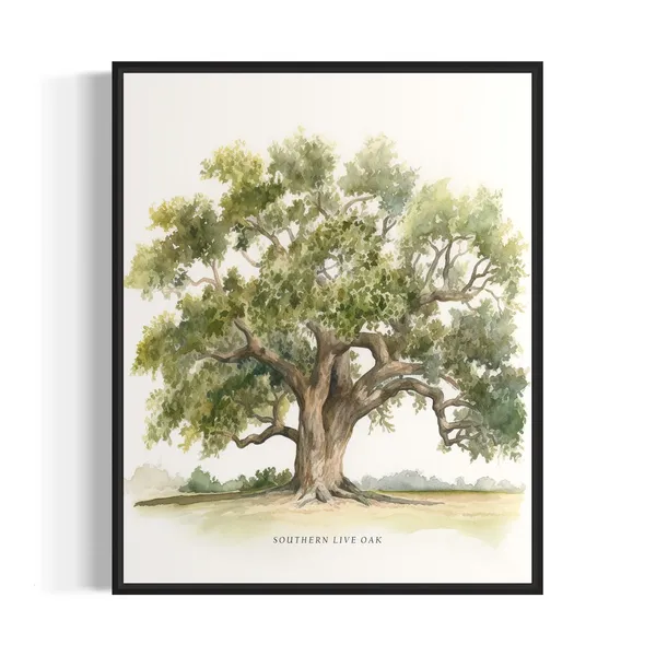 Southern Live Oak Tree Art Print, Nature Wall Decor