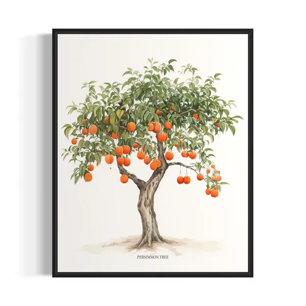 Persimmon Tree Art Print, Nature Wall Poster