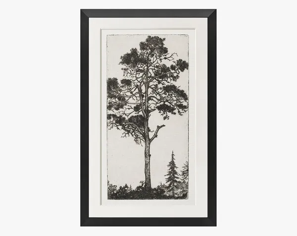 Vintage Tree Etching Art Print, Nature Wall Art