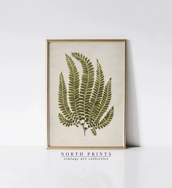 French Country Vintage Fern Art Print, Botanical