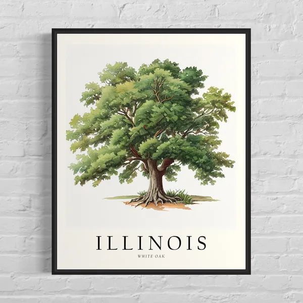 Illinois State Tree White Oak Art Print, Travel Poster