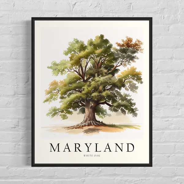 Maryland White Oak Tree Art Print, State Symbol