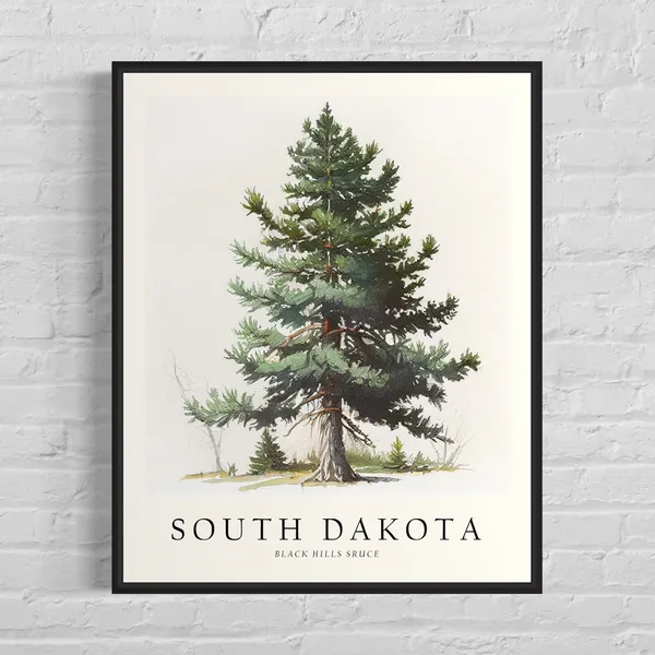 South Dakota State Tree, Black Hills Spruce Art Print