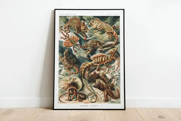 Ernst Haeckel Reptiles Vintage Art Deco Print