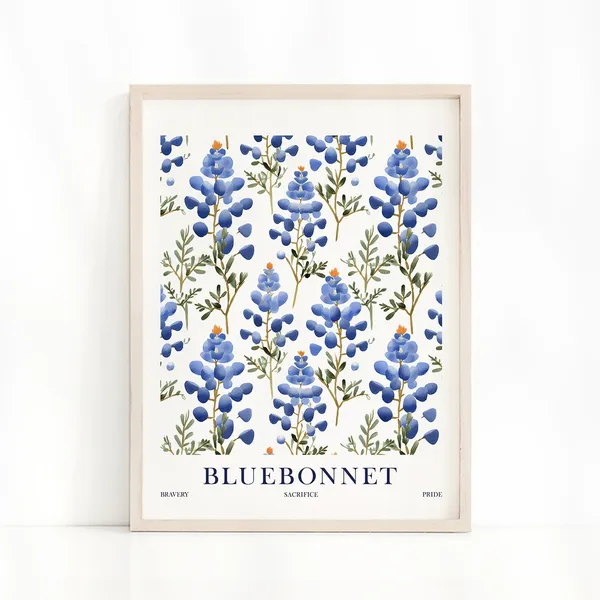Bluebonnet Flower Meaning Bravery Sacrifice Pride, Texas