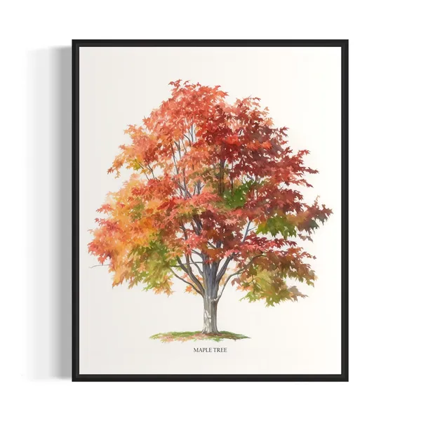 Maple Tree Art Print, Nature Wall Art Poster