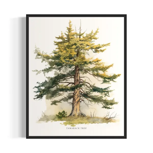 Tamarack Tree Art Print, Nature Forest Wall Poster