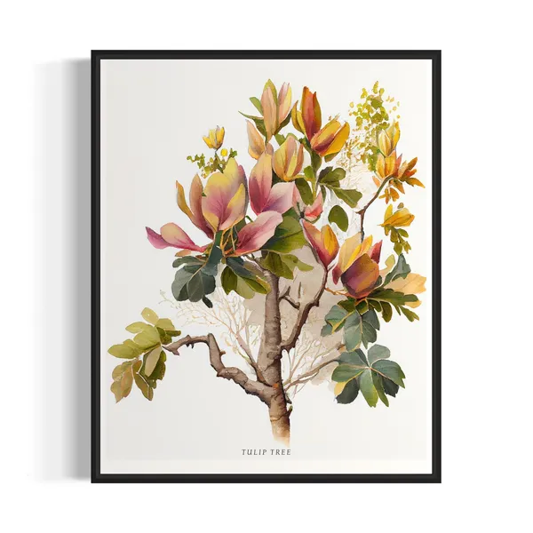 Tulip Tree Art Print, Botanical Wall Decor