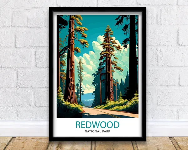 Redwood National Park Travel Poster, California Nature