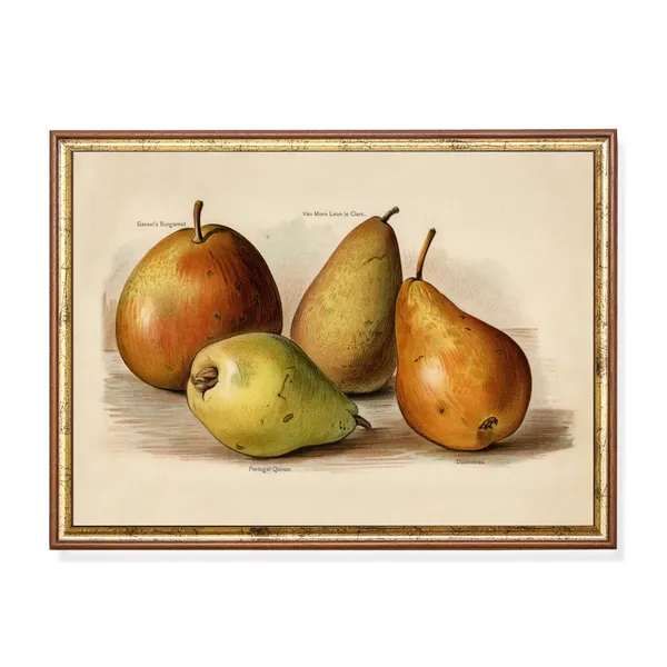 Vintage Pears Antique Fruits Art Print, Farmhouse Kitchen