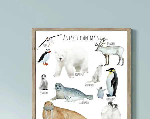 Antarctic Animals Travel Poster, Wildlife Study