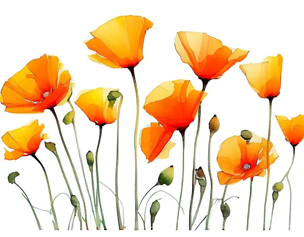 California Poppy Watercolor Print, Neutral Floral Art