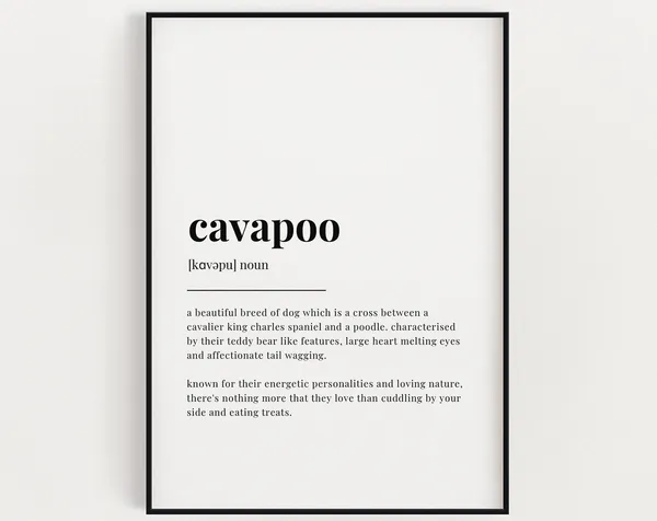Cavapoo Definition Meaning, Home Decor Art Print