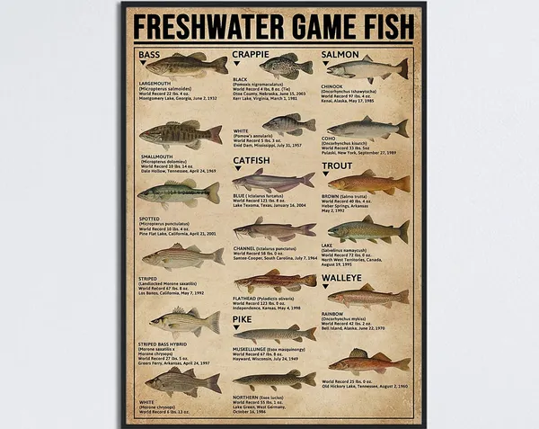 Freshwater Game Fish Knowledge, Vintage Fishing Poster