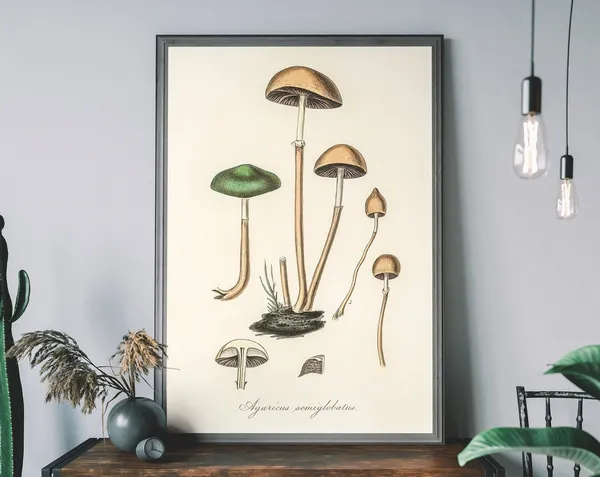 Vintage Mushroom Botanical Illustration Art Print