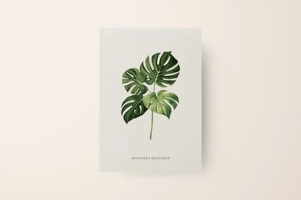 Monstera Print, Botanical Art Print for Living Room