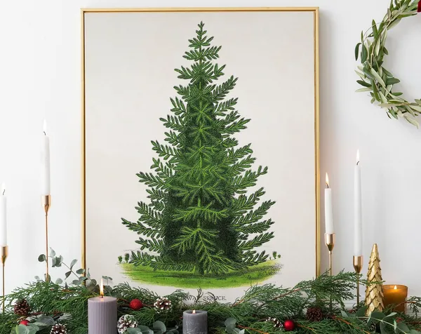 Christmas Vintage Spruce Illustration Holiday Tree Art Print