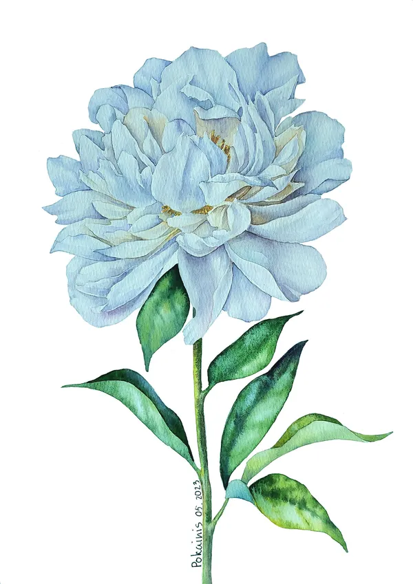 White Peony Watercolor Art Print, Botanical Wall Art