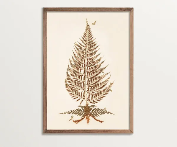 Antique Botanical Fern Print No 07, Vintage Art Print