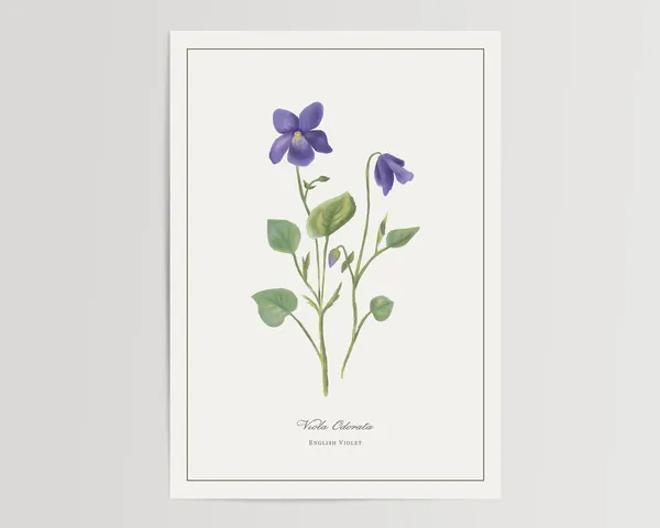 English Violet Watercolor Art Print, Floral Home Decor
