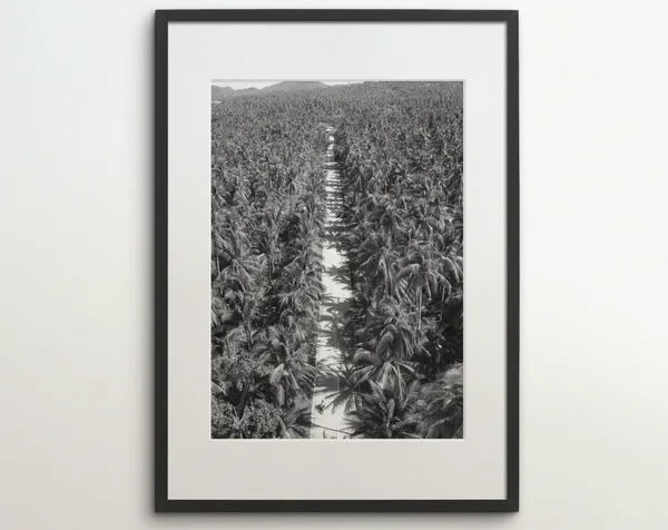 Philippines Coconut Tree Jungle Country Road Travel Poster