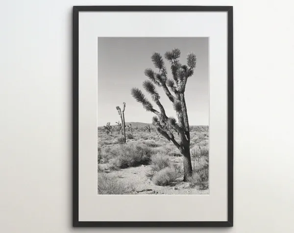 Joshua Tree National Park Black White Travel Poster