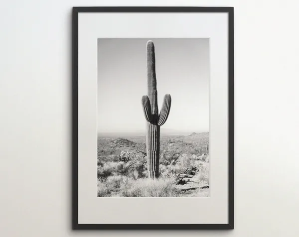 Saguaro National Park Arizona Travel Poster, Cactus