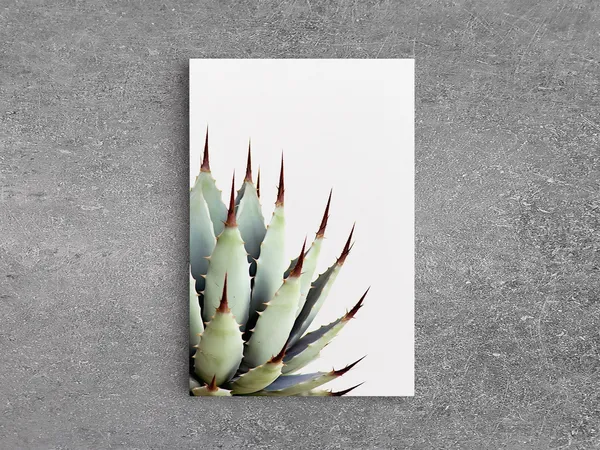 Desert Cactus Art Print, Modern Botanical Decor