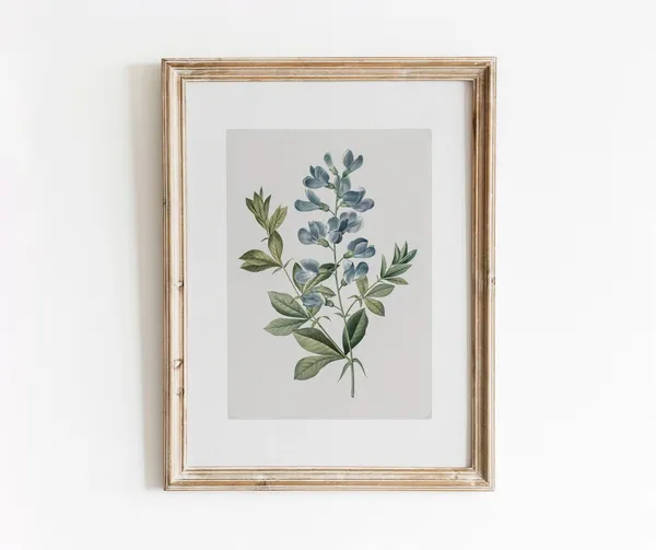 Blue Sweet Pea Vintage Botanical Watercolor Art Print