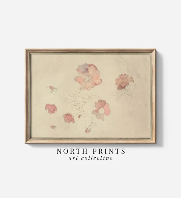 Antique Botanical Pink and Cream Watercolor Art Print