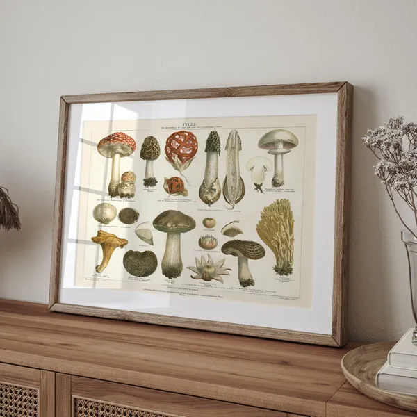 Meyers Konversations Lexikon Mushroom Art Print