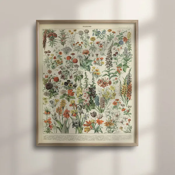 Adolphe Millot 1909 Vintage Flower Poster, Botanical Art