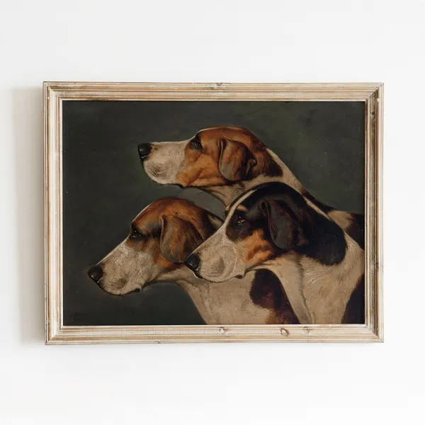 Three English Foxhounds Vintage Dog Art Print