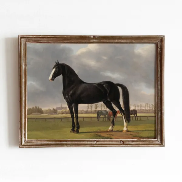 Black Horse Vintage Race Horse Art Print
