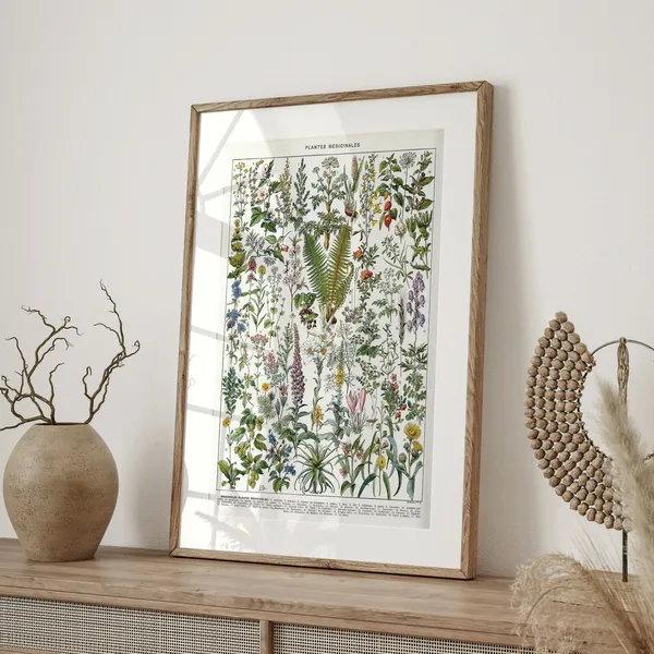 Vintage Botanical Medicinal Plant Art Print