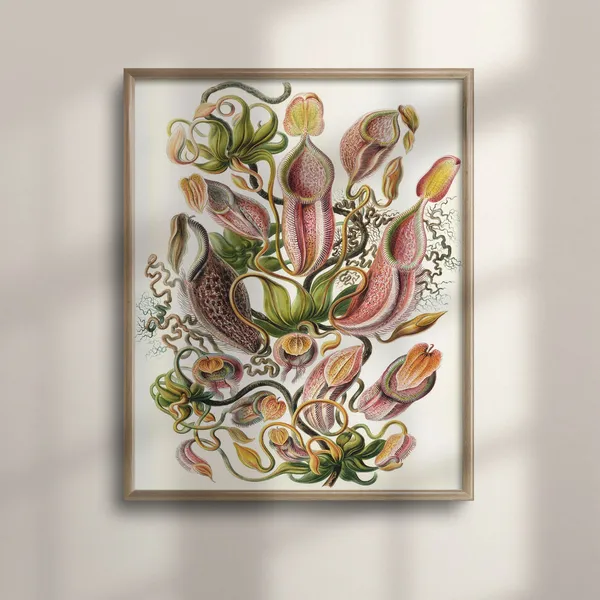 Ernst Haeckel Pitcher Plant Vintage Botanical Print