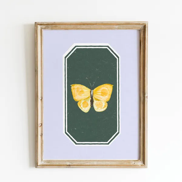 Butterfly Blue Yellow Papillon Art Print, Vintage